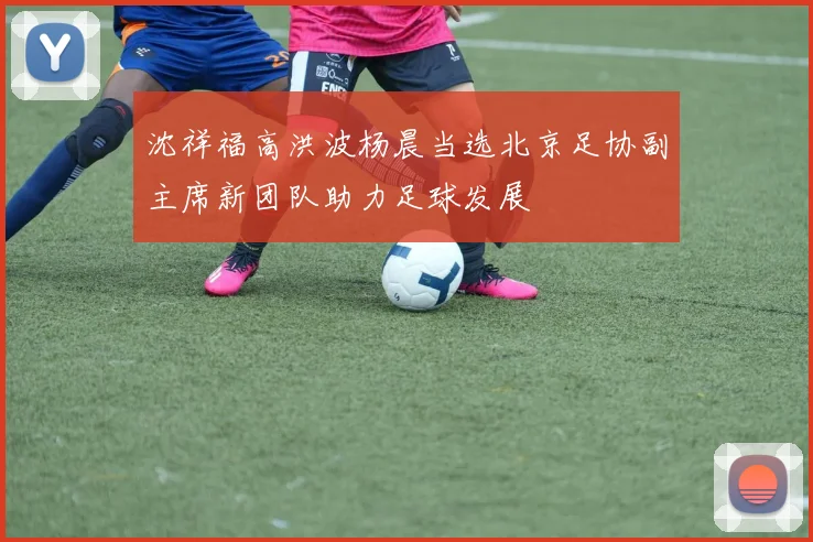 沈祥福高洪波杨晨当选北京足协副主席新团队助力足球发展
