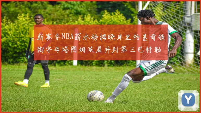 新赛季NBA薪水榜揭晓库里约基奇领衔字母塔图姆浓眉并列第三巴特勒排名第十