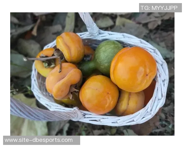 文班回忆险些重返赛场的瞬间透露被队友强行拦下的趣事 文班回忆险些重返赛场的瞬间透露被队友强行拦下的趣事